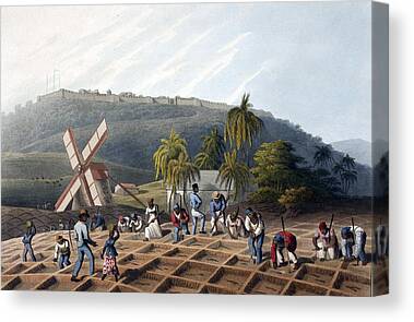 https://render.fineartamerica.com/images/rendered/search/canvas-print/10/7/mirror/break/images-medium-5/slaves-planting-sugar-cane-19th-century-british-library-canvas-print.jpg