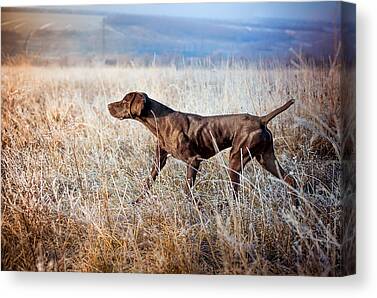Designs Similar to German Shorthaired Pointer #1