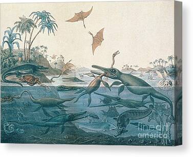 Jurassic Coast Canvas Prints