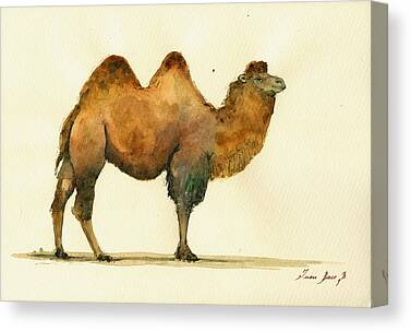 Bactrian Camel Canvas Prints