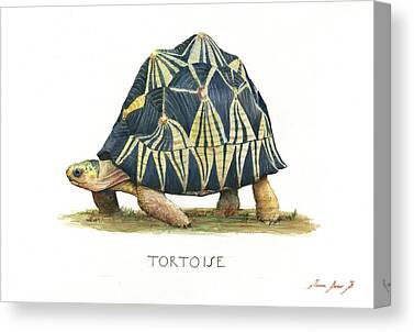 Reptiles Paintings Canvas Prints