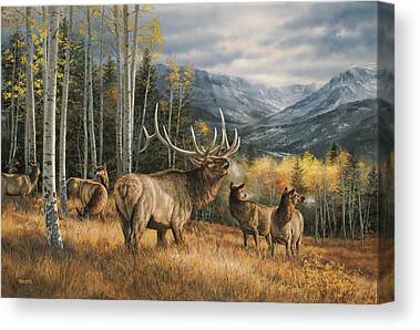 Elk Wildlife Paintings Canvas Prints
