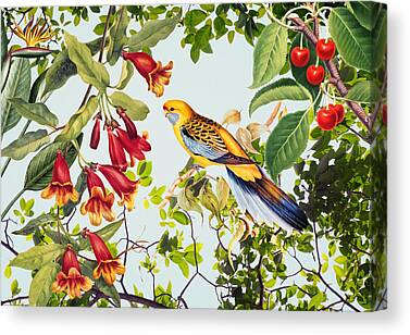 Tropical Wildlife Mixed Media Canvas Prints
