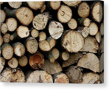 Stacked Birch Logs on Lumber Yard Photograph by Taina Sohlman