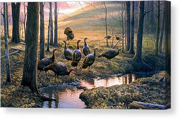 Wild Turkeys Canvas Prints