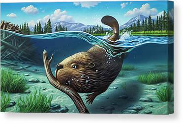 Beaver Pond Canvas Prints