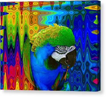 ABSTRACT VIBRANT MACAW PARROT COLOUR SPLASH CANVAS PICTURE POSTER UNFRAMED #2400