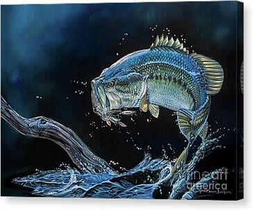 Large Mouth Bass Canvas Prints