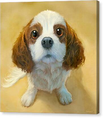 Pet Portrait Canvas Prints