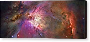 M43 Canvas Prints