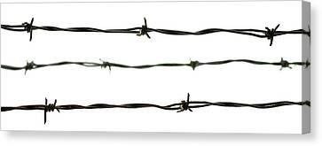 Barbed Wire Canvas Prints