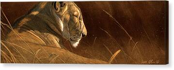 Digital Animal Illustrations - Aaron Blaise Lions Canvas Prints