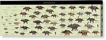 Agujaceratops Mariscalensis Canvas Prints