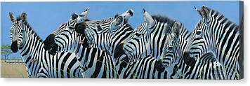 Zebra Paintings Canvas Prints