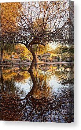 Green Canvas Prints