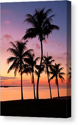 Tropical Sunset Canvas Prints