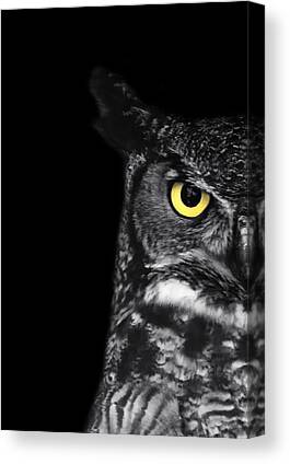 White Owl Canvas Prints