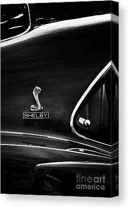 Canvas Art - Shelby Mustang GT350 by Tim Gainey
