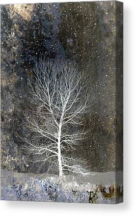 Snowy Night Night Photos Canvas Prints