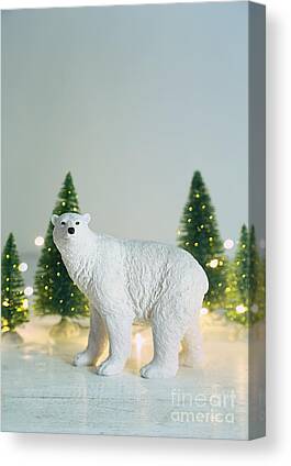 Christmas Display Canvas Prints