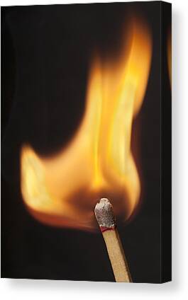 Wooden Stick Matches In Box Art Print by Donald Erickson - Fine Art America
