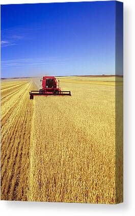 Canvas Poster Wall Art Print Picture Framed Combine Harvester Barley Yello AD113 