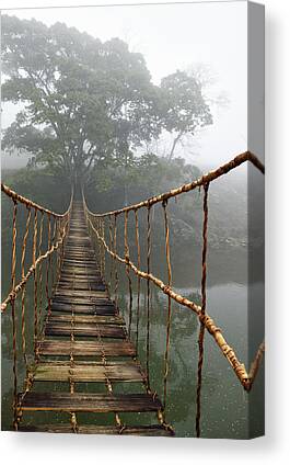 Rope Bridge Canvas Prints