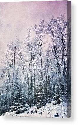 Blue Spruce Pine Tree Canvas Prints