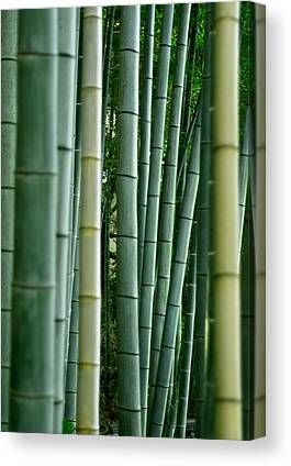 Bamboo print by John Barger