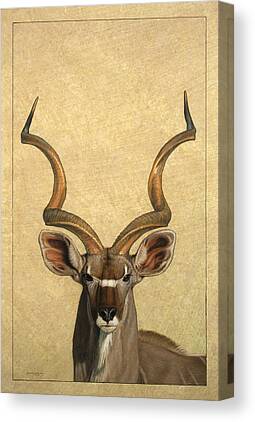 Kudu Canvas Prints