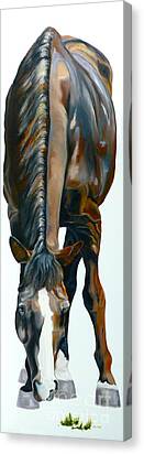 Horse Giclee Canvas Prints