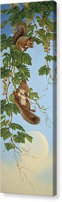 Squirrel Paintings Canvas Prints
