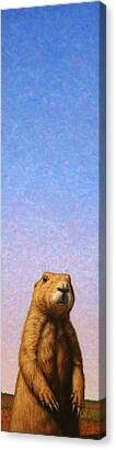 Prairie Dogs Canvas Prints