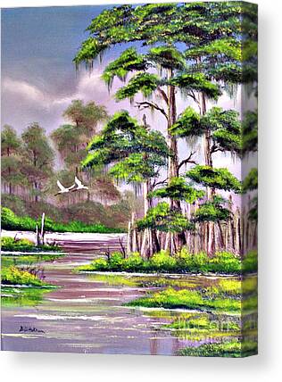 Big Cypress Swamp Canvas Prints