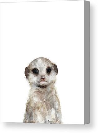 Meerkat Canvas Prints