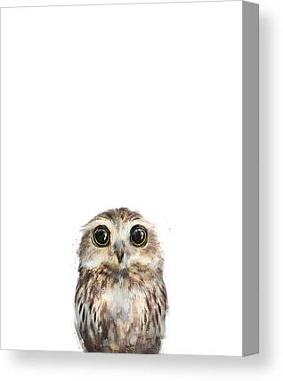 Owl Canvas Prints