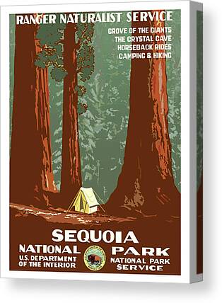 Sequoia Paintings Canvas Prints