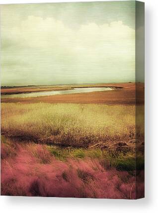 Field Of Flowers Canvas Prints