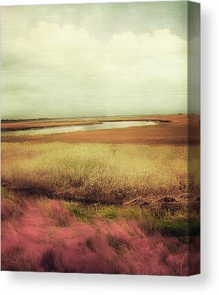 Pale Pink Canvas Prints