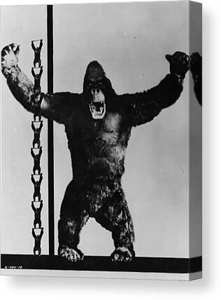 KING KONG AWESOME GIANT APE HIGH IMPACT ICONIC CANVAS PRINT PICTURE Art Williams 