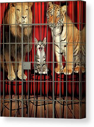 Interior Decoration #53CW Two Wild Cats Hugging Each Other Love In Nature Cotton Canvas Art Tigers Couple Canvas Art Print