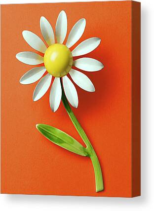 Artificial Flowers Drawings Canvas Prints