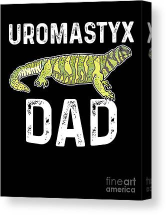 Ornate Uromastyx - Uromastyx ornata 24x36 Canvas Print