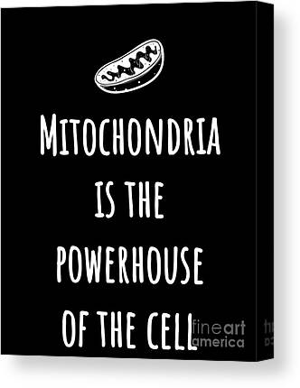 Mitochondrion Drawings Canvas Prints