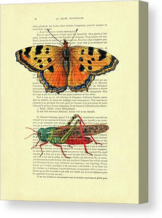 Grasshopper Canvas Prints