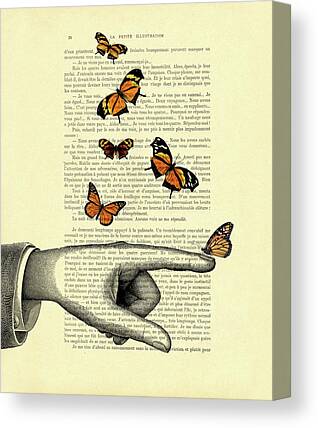 Butterfly Collage Canvas Prints
