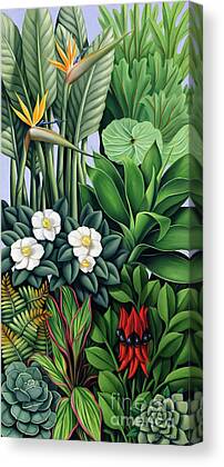 Catherine Abel Vegetation Canvas Prints