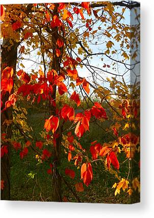 Red Leavies Canvas Prints