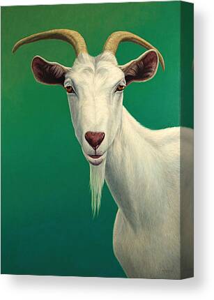 Goat Canvas Prints