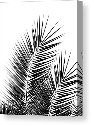 Tropical Leaf Prints Black and White Palm Print Leaf Print Wall Art Palm Tree Leaf Print Beach House Wall Art Palm Tree Wall Art